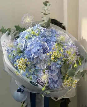 3 Năm Hôn Nhân Hợp Đồng