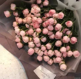 8 Năm Không Thấu Hiểu