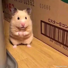 Ác Nữ Trùng Sinh: Tổng Tài, Đến Lượt Anh Rồi!