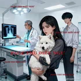 Ánh Nhìn Qua Mắt Mèo