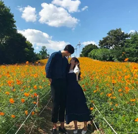 Bất Ngờ Tình Yêu Tới