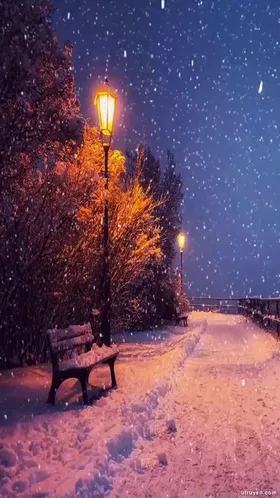 Cảng Thành Không Có Tuyết Rơi