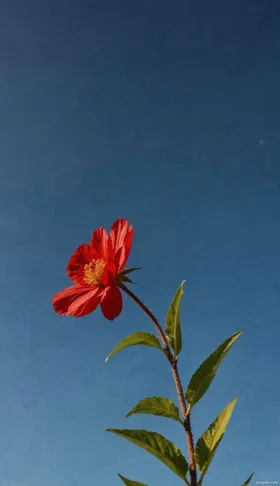 Công Lược Nam Chính