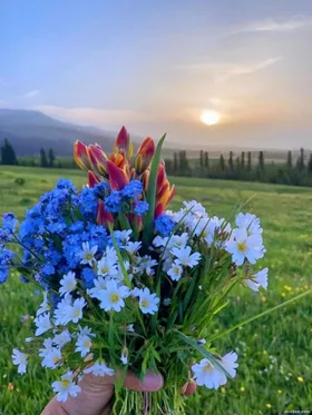 Công Ty Có Kẻ Lộng Hành