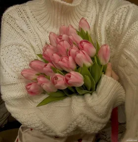 Cuộc Đời Của Mộng Hoa