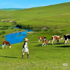 Đêm Đầu Tiên Được Đấu Giá