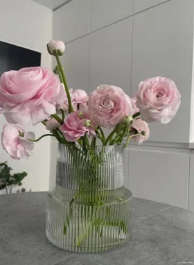 Đoá Hoa Nhài Tinh Khôi