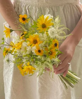 Đường Hầm Không Ánh Sáng