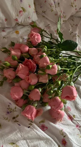 Gặp Lại Tình Địch Cũ