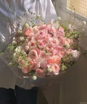 Giả Làm Husky Theo Đuổi Vợ