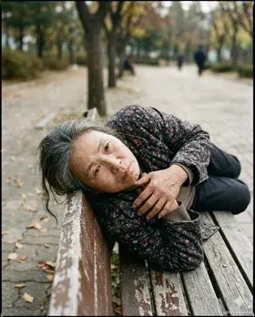 Giữa Đông, Hoa Vẫn Nở