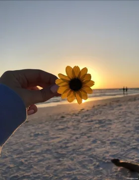 Gương Vỡ Thì Khó Lành