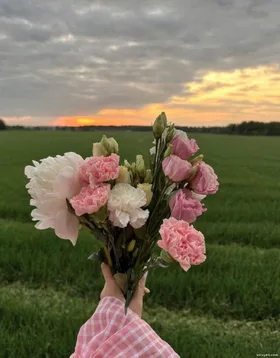 Hai Kiếp Không Đợi Anh