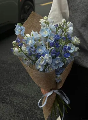 Hoa Nhài Toả Nắng