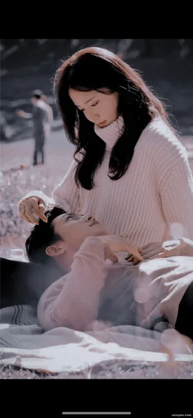 Hướng Dương Toả Nắng