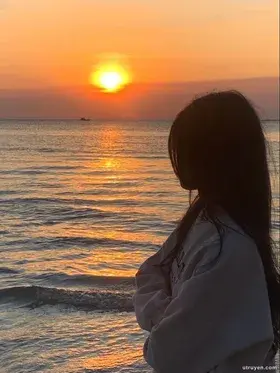 Kế Hoạch C: Thanh Toán Toàn Diện