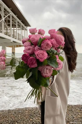 Kế Hoạch Giải Thoát