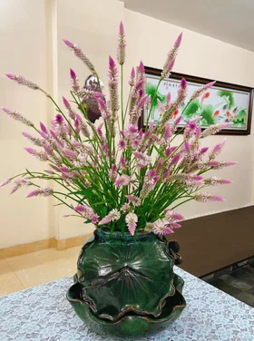 Kim Cương Lấp Lánh