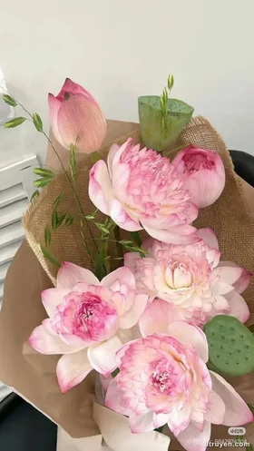 Lưu Nguyệt Báo Thù Trong Bóng Tối