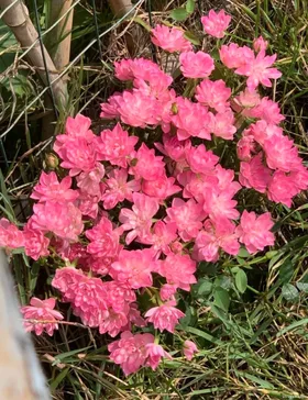 Mỗi Giây Phút Bên Em Là Hạnh Phúc Trong Anh