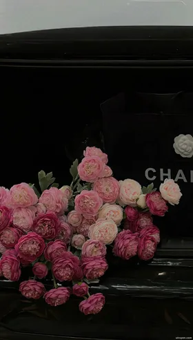 Ngủ Dậy Tình Yêu Tới