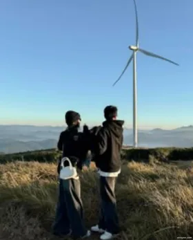 Những Ngày Cuối Đời Của Lâm Vãn