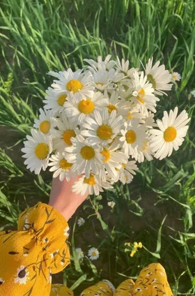 Phần Thưởng Xứng Đáng Dành Cho Người Thông Minh