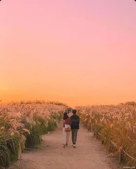 Rực Rỡ Phía Cuối Đường