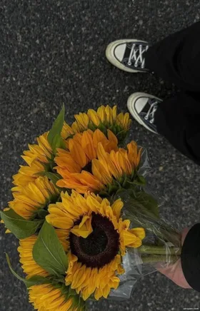 Sai Lầm Không Thể Tiếp Diễn