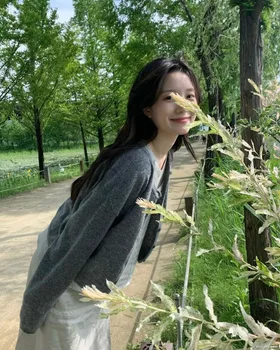 SAO CHỔI TRONG NHÀ