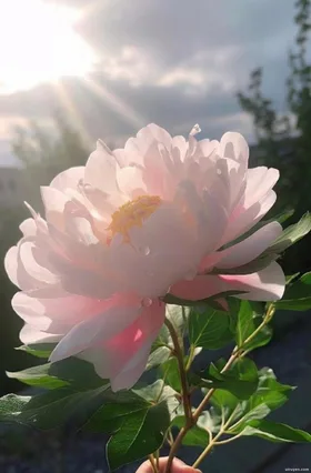 Tác Thành Cho Thanh Mai Và Bạn Trai