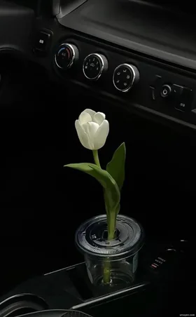 Thế Giới Của Tôi Rực Rỡ Ánh Sáng