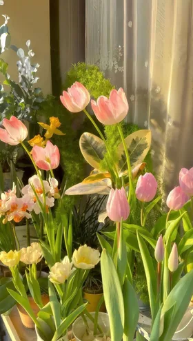 Thử Thách Đại Mạo Hiểm