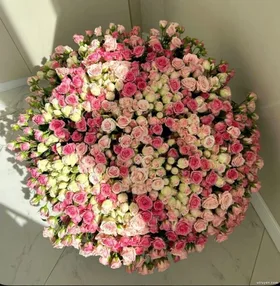 Thứ Tôi Cần Là Tiền