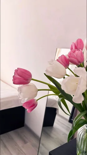 Tình Yêu Tươi Đẹp Ở Tuổi 17