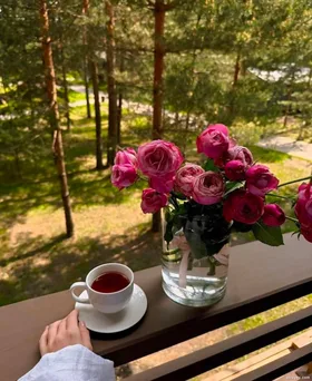 Trở Thành Phú Bà