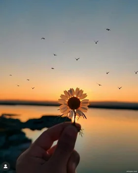 Tuổi Thơ Cùng Anh Trai Xăm Trổ