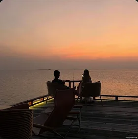 VỎ BỌC TÌNH CẢM FUll