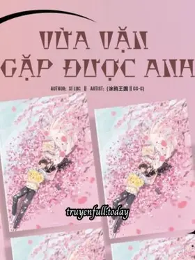 Vừa Vặn Gặp Được Anh - Xí Lục